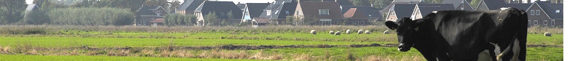 banner-bedrijven.jpg