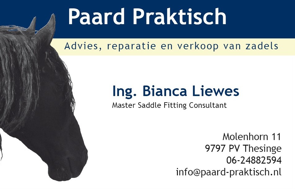 pp_logo