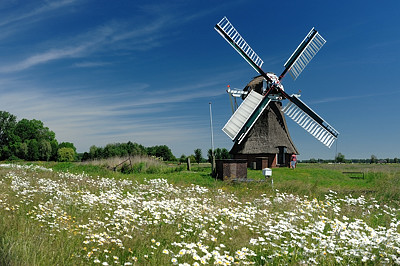 Foto Langelandster molen.jpg