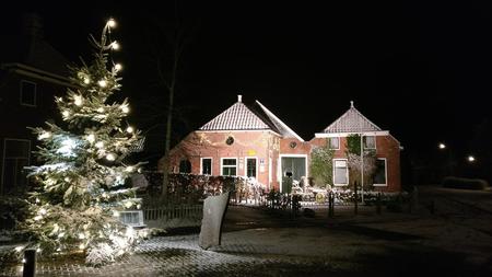 kerstboom2017.jpg