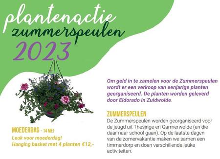 thesingecom_planten23.jpg
