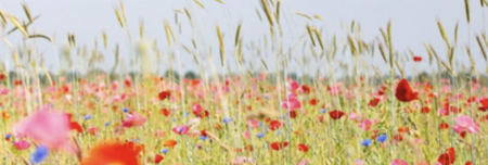 Scherm­afbeelding 2024-05-30 om 07.58.35.png