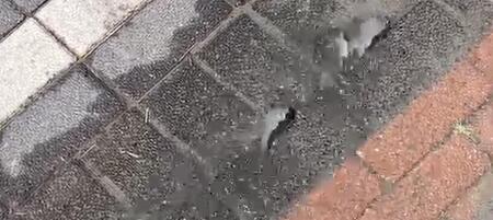 water.jpg