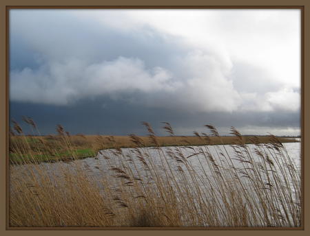 Lauwersmeer 006.JPG