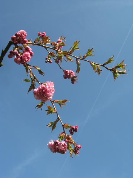 IMG_6198.JPG